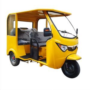3 Passenger Electric Tricycle
