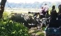 Terror in India as angry rhino lifts up tourists’ safari jeep