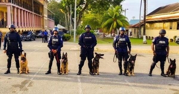 Two cops and two police dogs injured as vehicle crashes | News Extra | trinidadexpress.com
