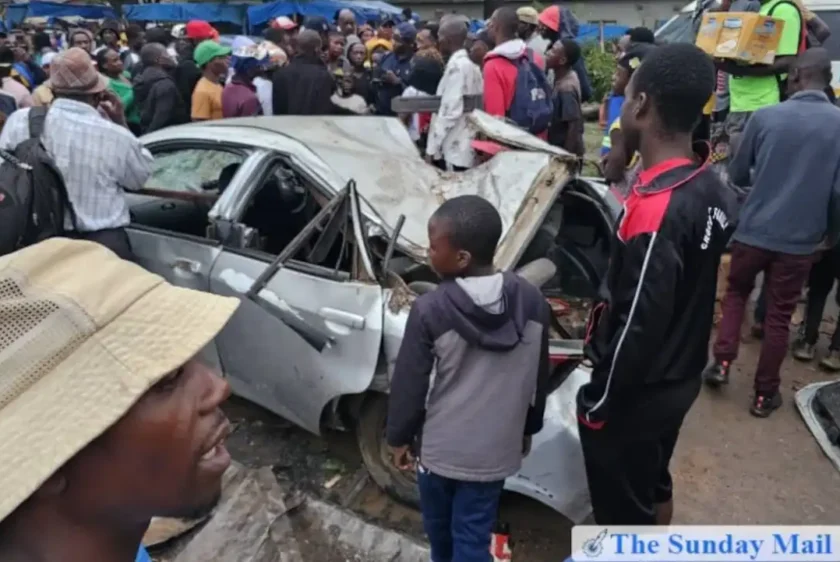 Passenger Dies After Two Trees Fall On Honda Fit In Freak Accident In Chitungwiza