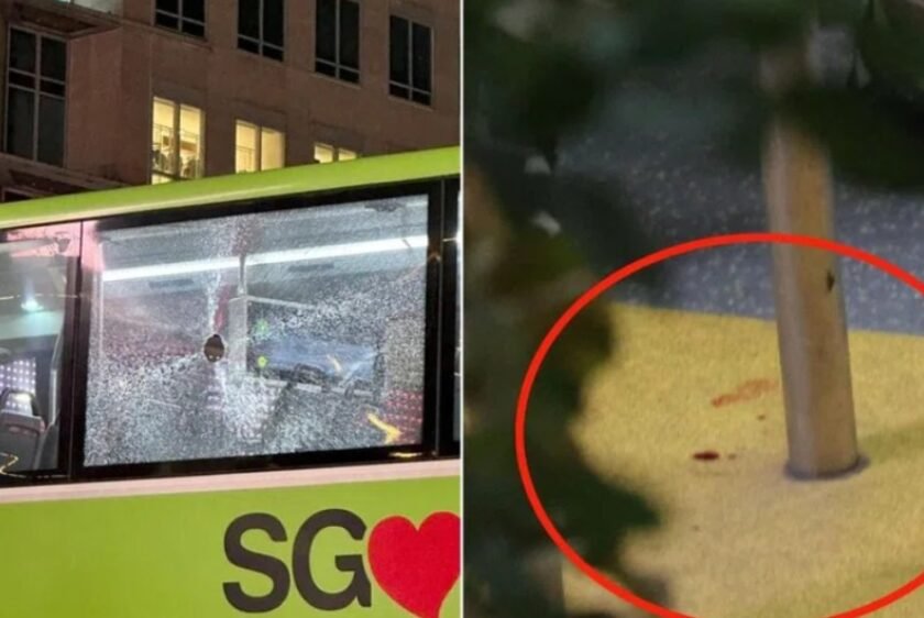 Man hurls glass bottle towards bus passenger he quarrelled with, breaks window and injures woman, Singapore News – AsiaOne