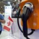 China trade deal has Canadians looking forward to cheaper electric vehicles