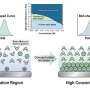 Electric double layer unlocks molecular switch behind battery and hydrogen reactions