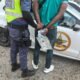 More than 500 taxis impounded in Gauteng transport crackdown